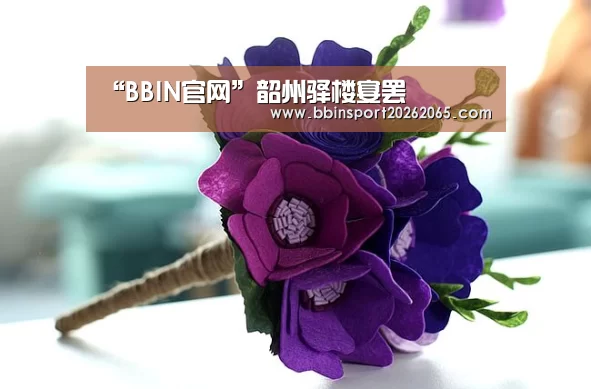 BBIN官网