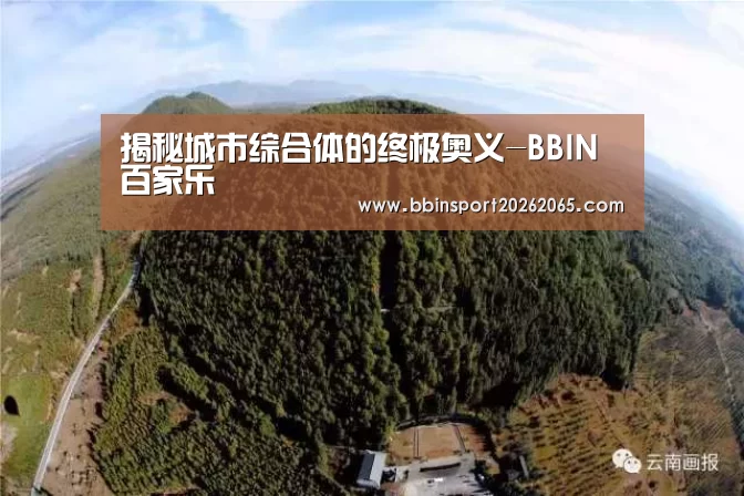 BBIN官网