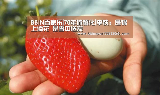 BBIN百家乐|70年城镇化|李铁:是锦上添花 是雪中送炭(图2) BBIN直播