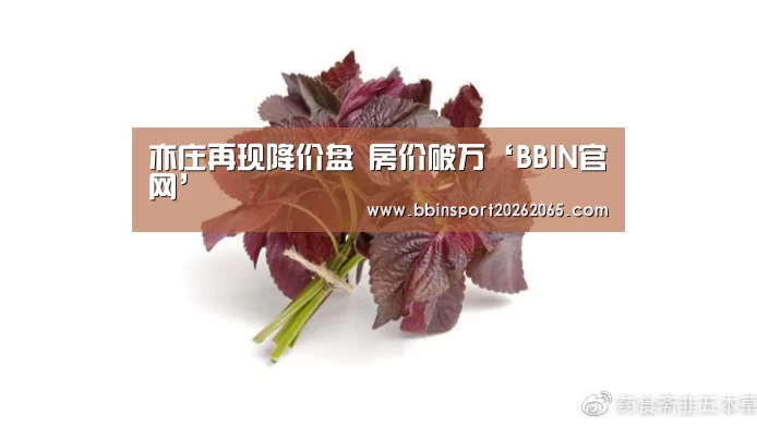 亦庄再现降价盘 房价破万‘BBIN官网’(图2) BBIN登录