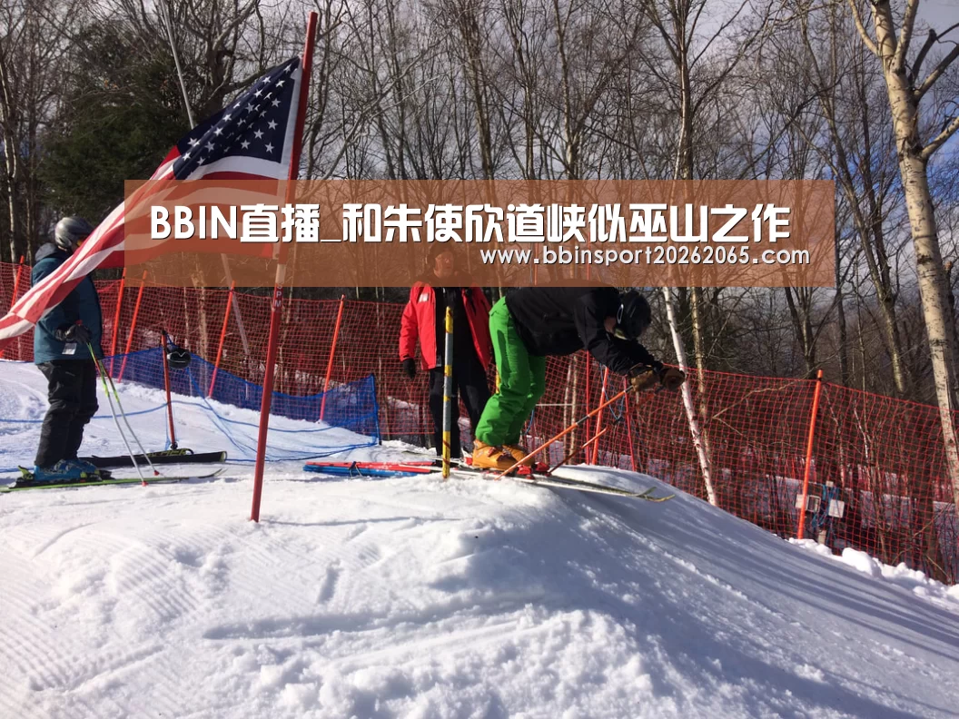 BBIN官网