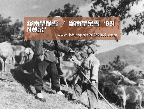 终南望馀雪 / 终南望余雪‘BBIN登录’(图1) BBIN登录